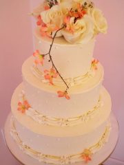 Ivory And Peach
