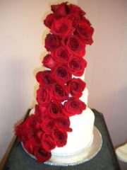 Cascading Roses