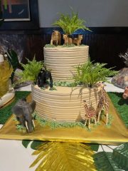 Jungle Animals